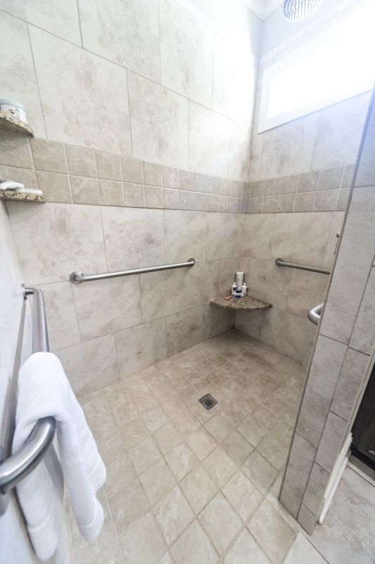 Walk-In Shower Upgrade